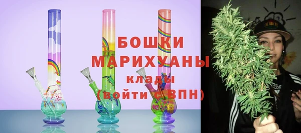 spice Ельня