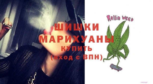 тгк Александровское