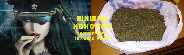 spice Ельня