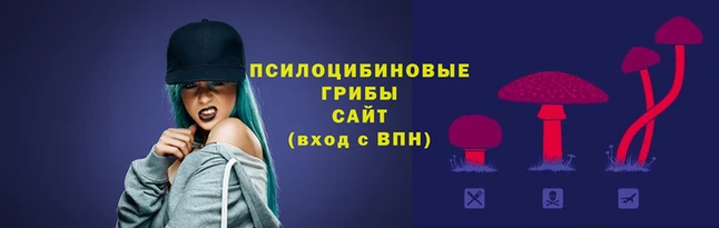 прущая мука Елизово