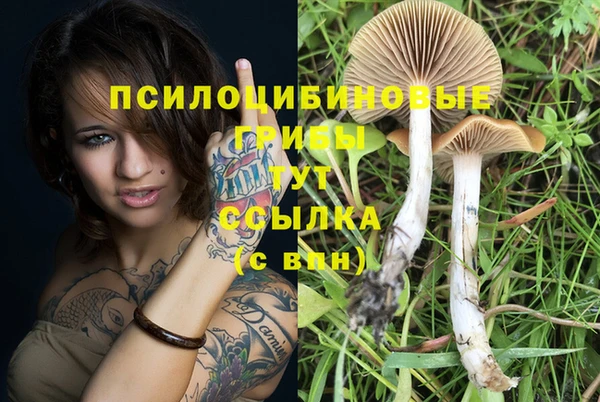 spice Ельня