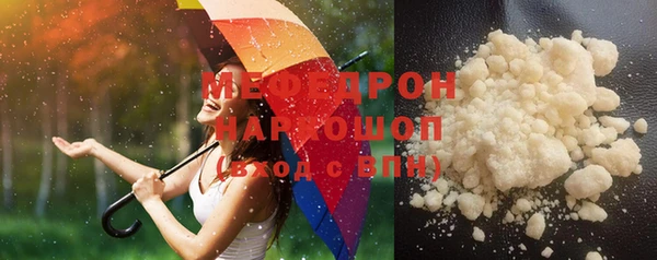spice Ельня