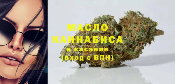 spice Ельня