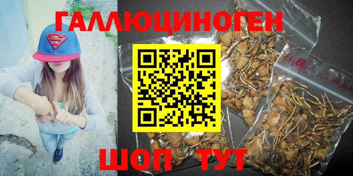 Галлюциногенные грибы Psilocybe Дюртюли